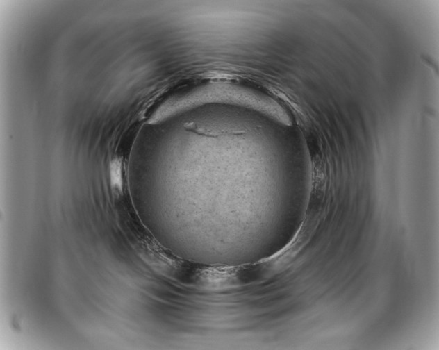 X0000096940094200802081216
