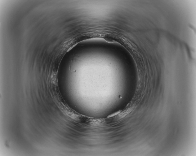 X0000096940096200802081216