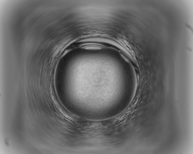 X0000096940097200802081215