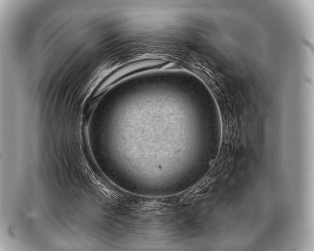 X0000096940098200802081215