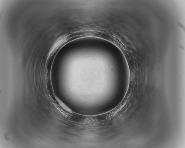 X0000096940101200802081215