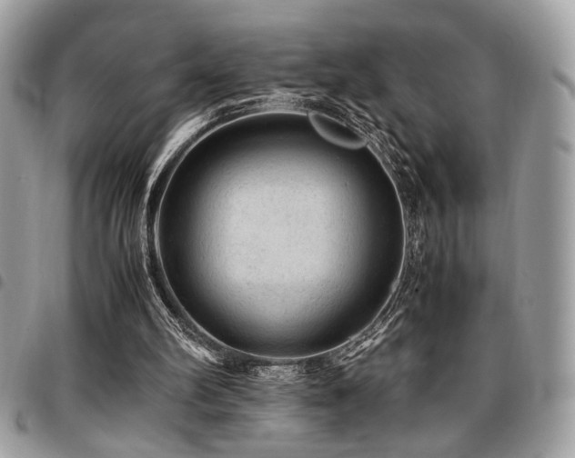 X0000096940102200802081215