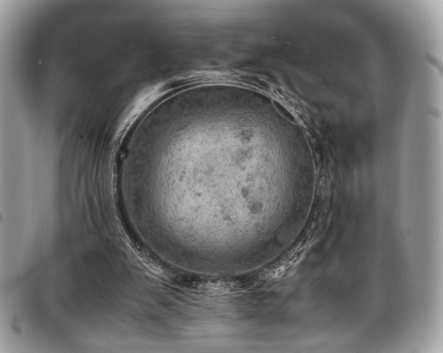 X0000096940103200802081215