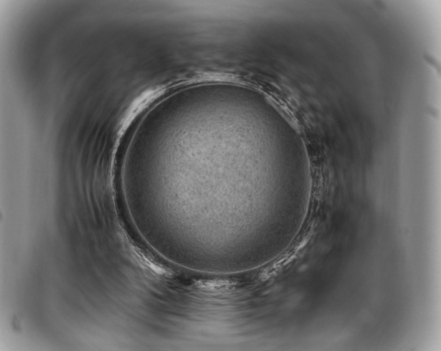 X0000096940104200802081215