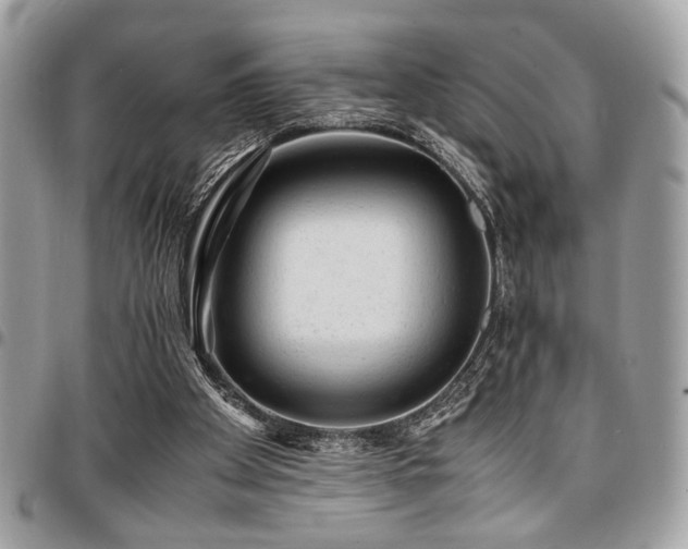 X0000096940105200802081215