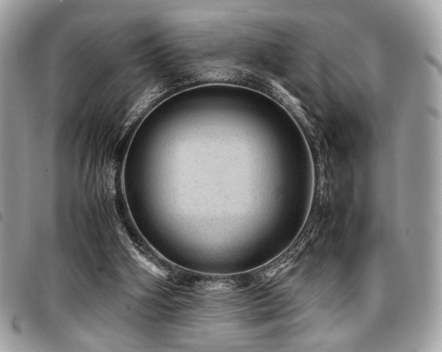 X0000096940106200802081215