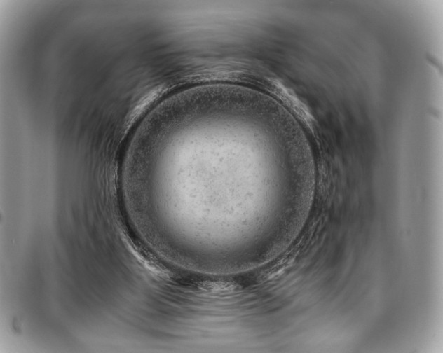 X0000096940107200802081215