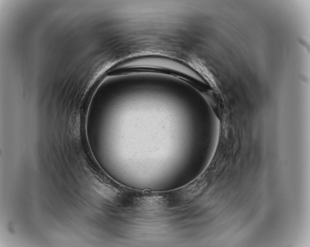 X0000096940108200802081215