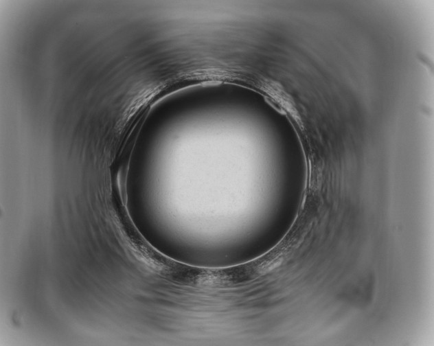 X0000096940109200802081215