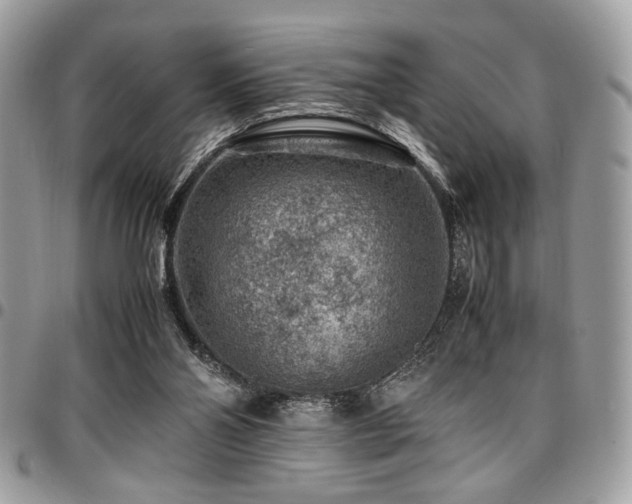 X0000096940110200802081215