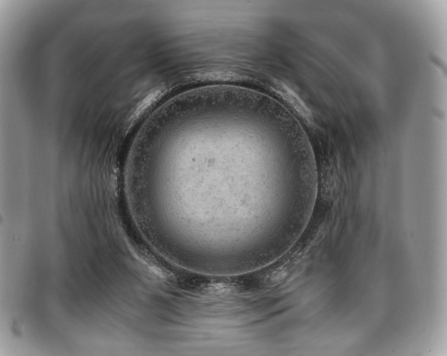 X0000096940111200802081215