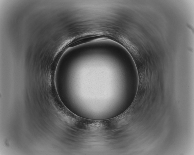 X0000096940112200802081215