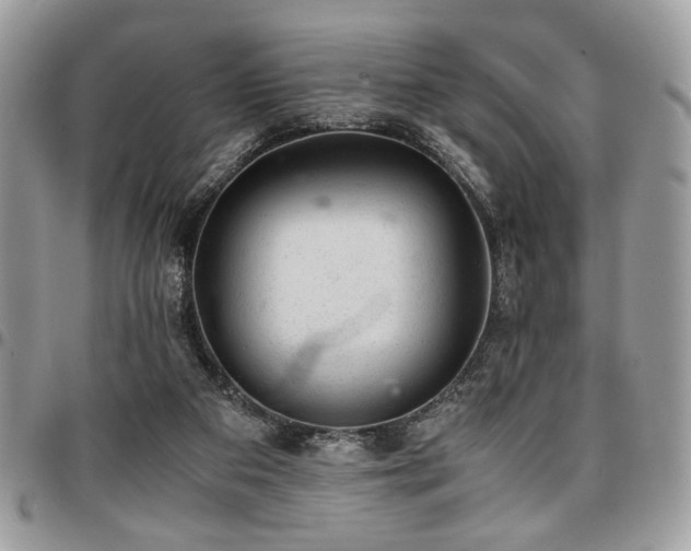 X0000096940113200802081215