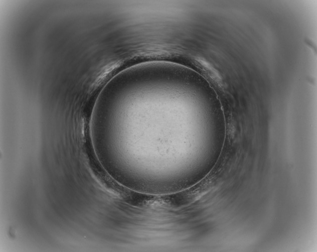 X0000096940115200802081215