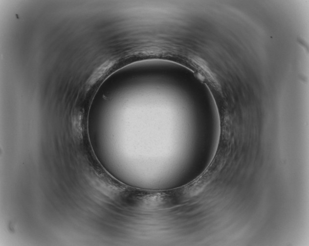 X0000096940116200802081215