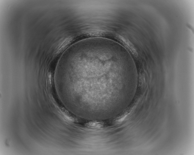X0000096940117200802081215