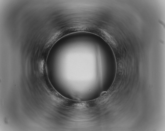 X0000096940118200802081215