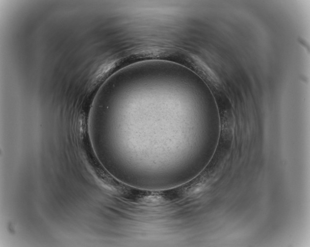 X0000096940119200802081215