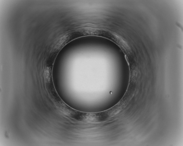 X0000096940121200802081215