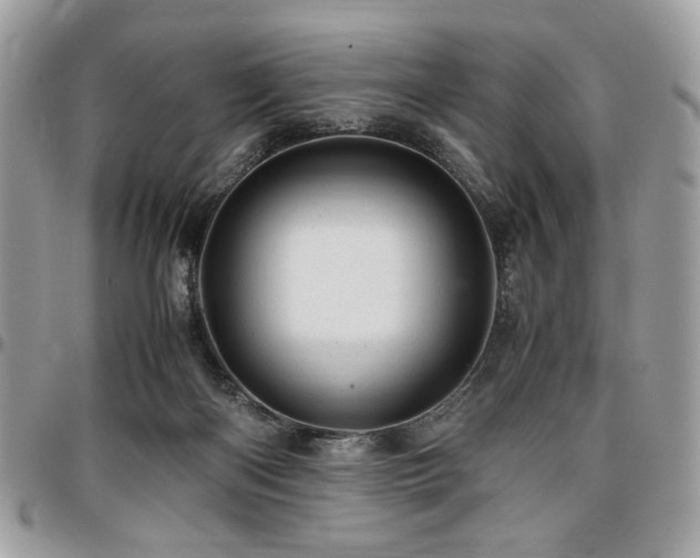 X0000096940122200802081215