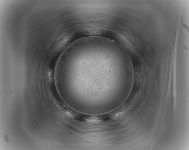 X0000096940123200802081215