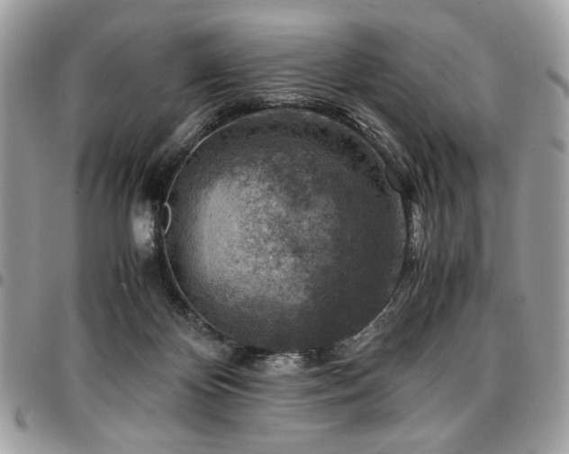 X0000096940124200802081215