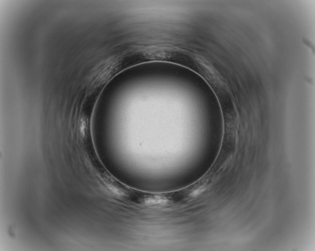 X0000096940125200802081215