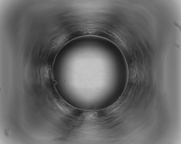 X0000096940126200802081215