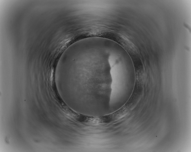 X0000096940127200802081215