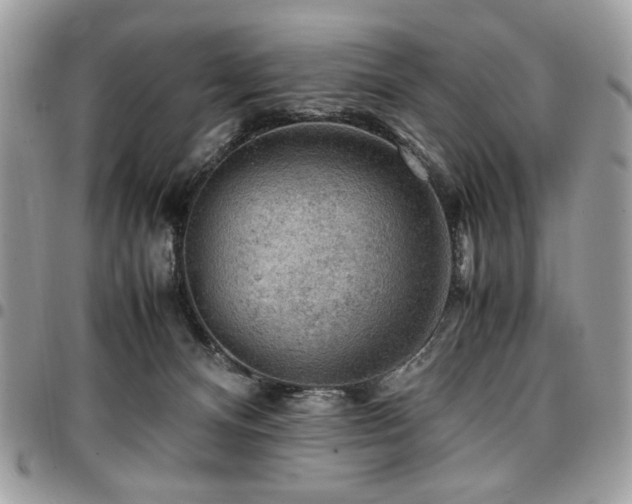 X0000096940128200802081215