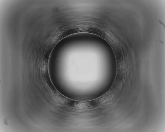 X0000096940129200802081215