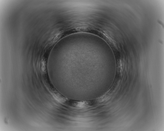 X0000096940130200802081215