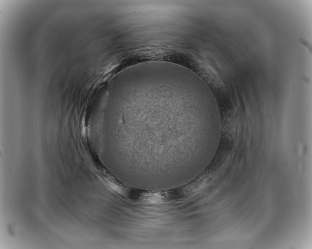 X0000096940131200802081215