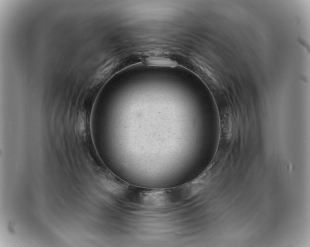X0000096940132200802081215