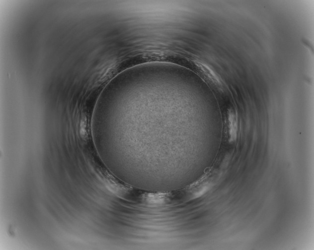 X0000096940134200802081215