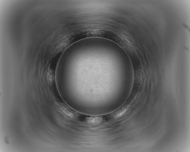 X0000096940135200802081215