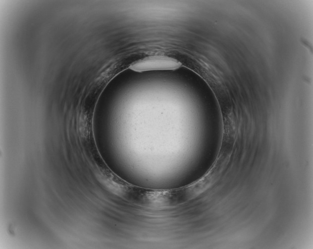 X0000096940136200802081215