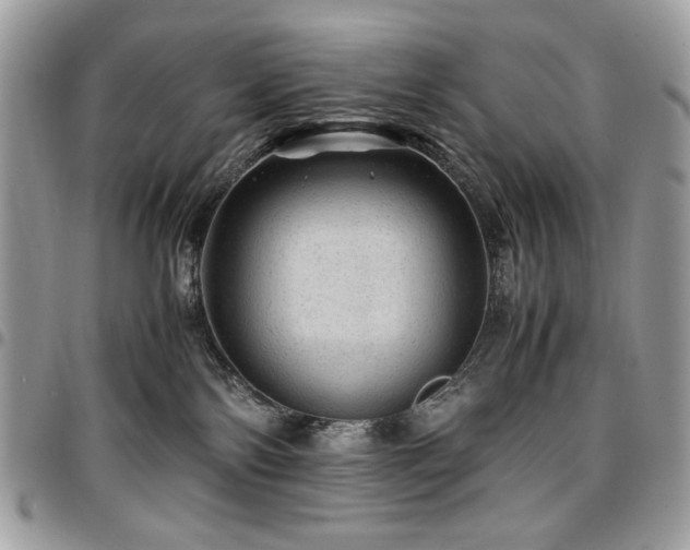 X0000096940138200802081215