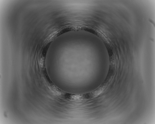 X0000096940139200802081215