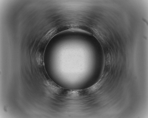 X0000096940140200802081215