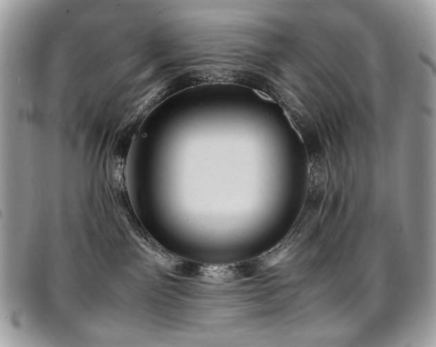 X0000096940141200802081215