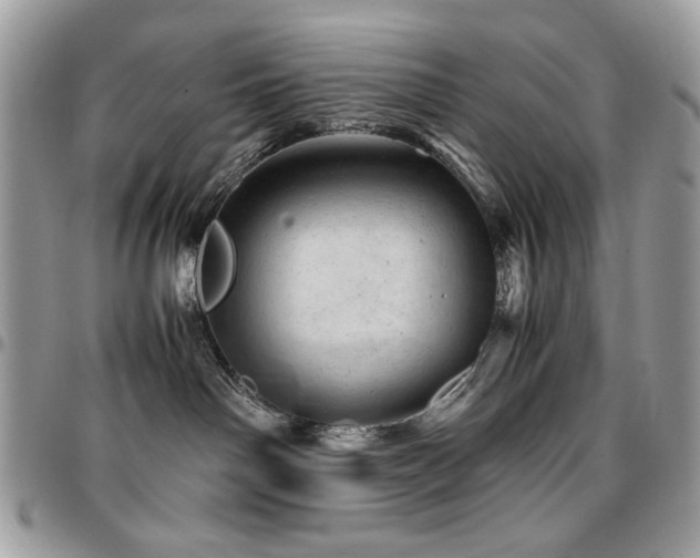 X0000096940142200802081215