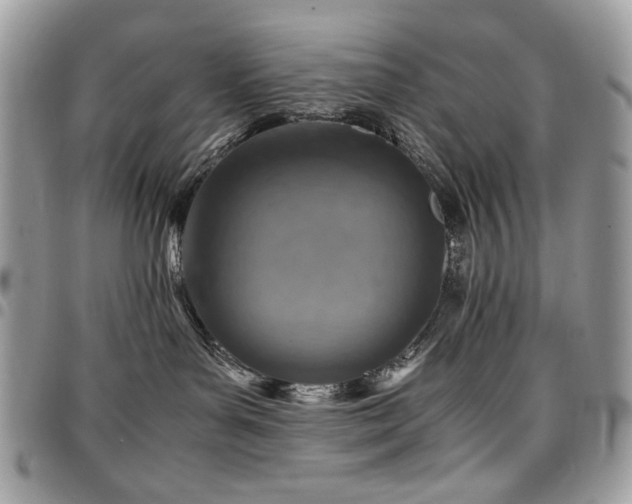 X0000096940143200802081215