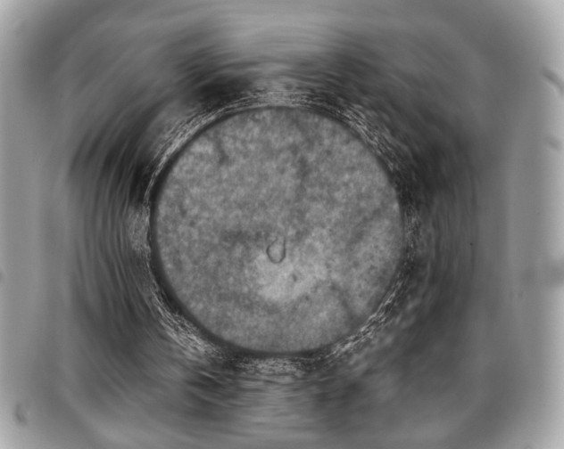 X0000096940146200802081214