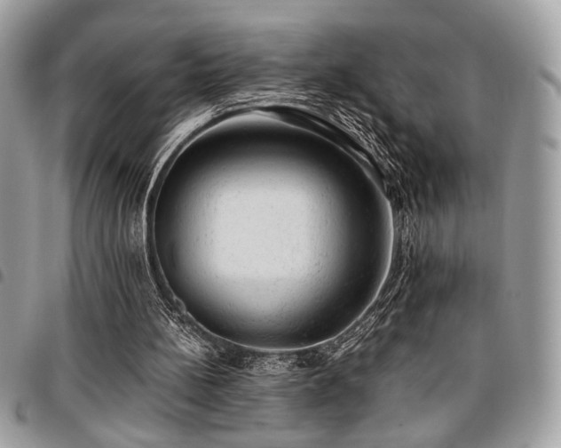 X0000096940148200802081214