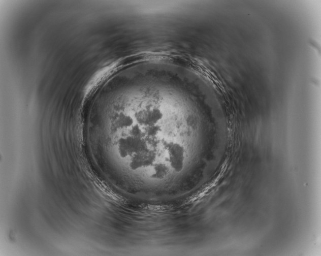 X0000096940149200802081214