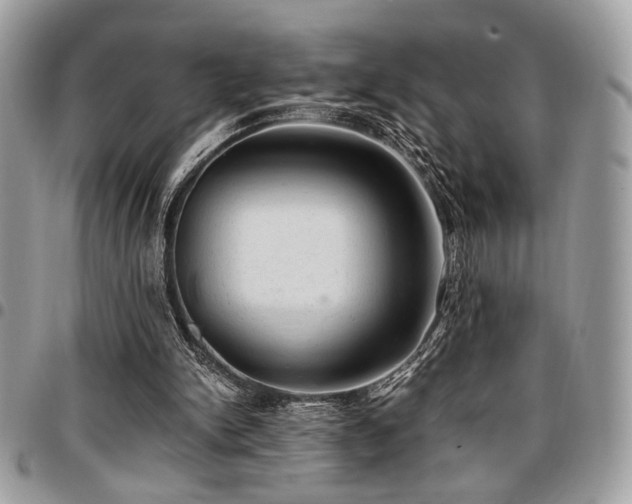 X0000096940150200802081214
