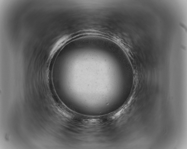 X0000096940151200802081214