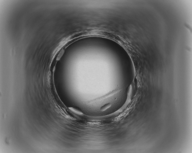X0000096940152200802081214
