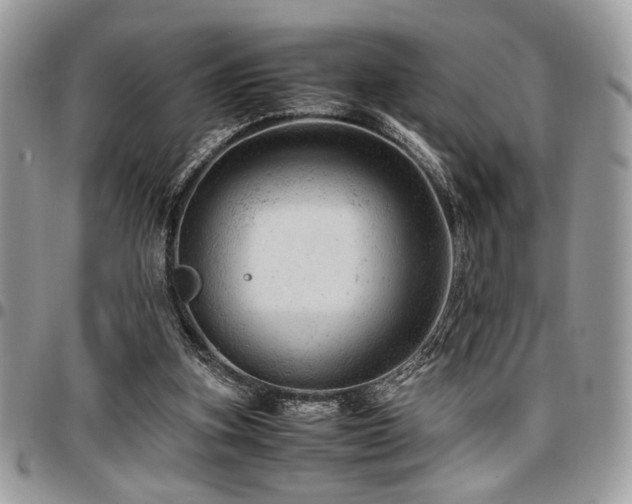 X0000096940155200802081214